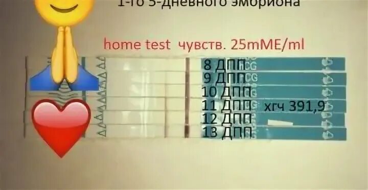 Криоперенос 5 дневок форум. 8 День после переноса 5 дневных эмбрионов. 5 День после переноса 5 дневного эмбриона. 5 День после подсадки 5 дневных эмбрионов. 5 День после переноса эмбрионов ощущения.