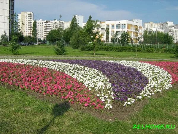 зеленоград ночью 15 мкрн. работа зеленоград 16. работа зеленоград 16. работа зеленоград 16. работа зеленоград 16.