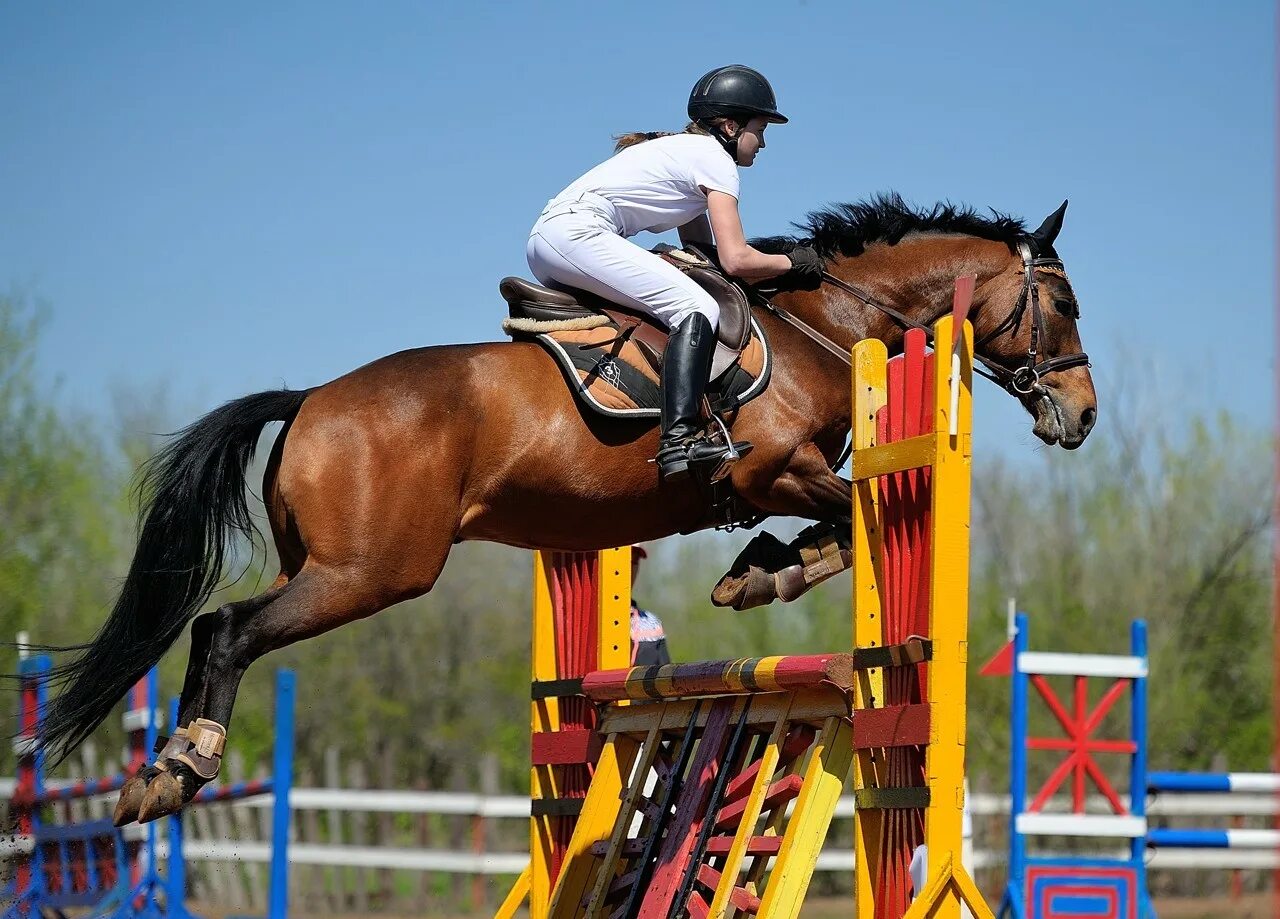 Конный клуб воздух оренбург. Конный клуб оренбург. Конные прогулки в лесу. Кск сивка. Конюшня дубровский оренбург.