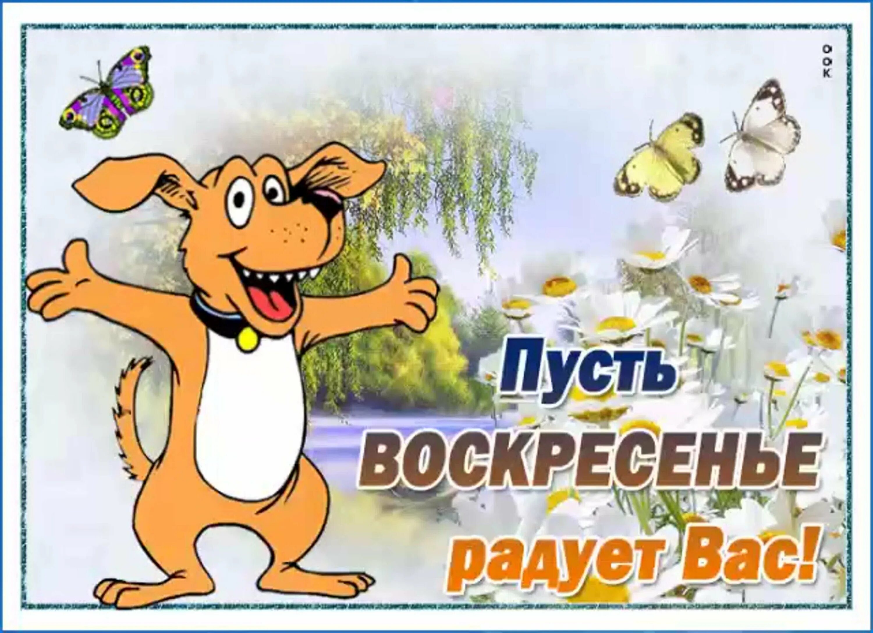 Воскресная картинка. Прикольные поздравления с воскресеньем. Открытки с воскресеньем прикольные. Хорошего воскресенья. Хорошего воскресенья и отличного настроения.