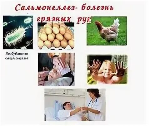 Сальмонеллез последствия