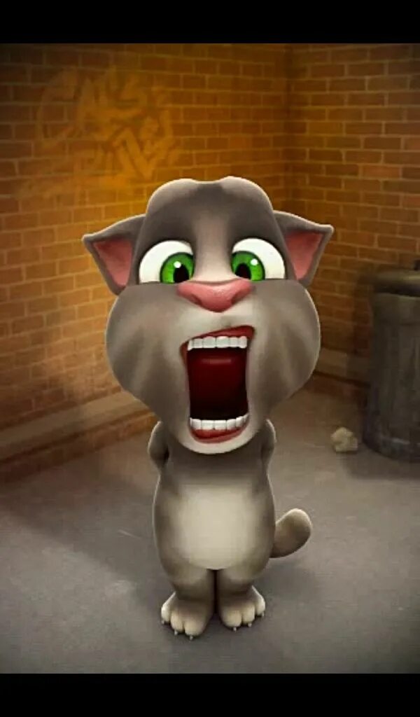 Создатель my talking tom. Talking Tom. Talking Tom Cat. Talking Tom Cat 2 2011. My talking Tom 2010.