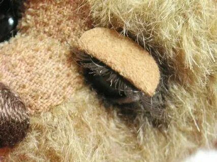 Teddy eyes