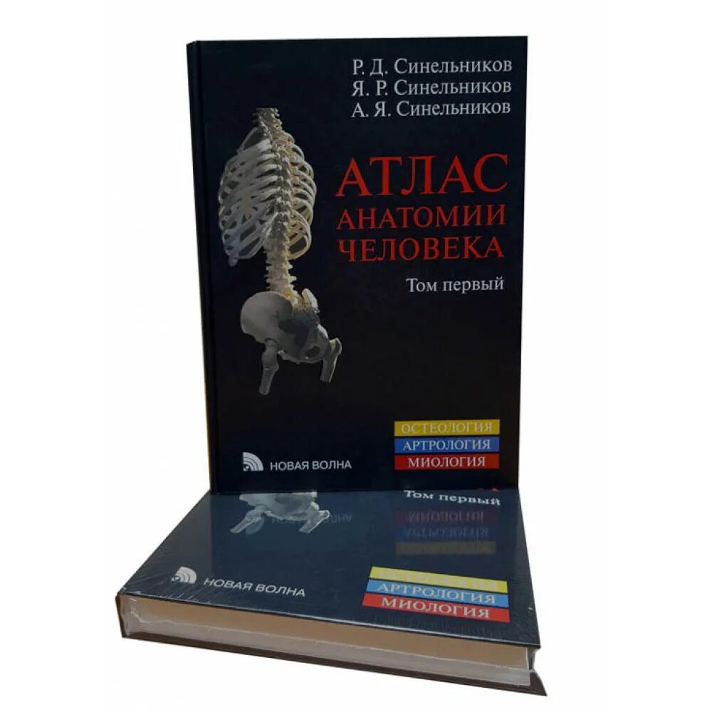 Синельников р д атлас анатомии человека. Атлас анатомии человека р.д. синельникова в 4 томах. большой атлас анатомии человека винс перез. синельников атлас 1 том. атлас синельникова по анатомии.