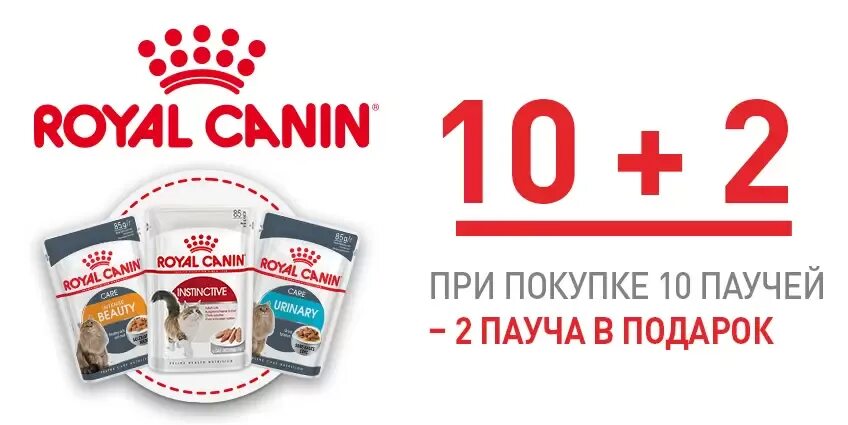 Роял канин баннер 10 %. Акция на консервы. Роял канин акция. Royal canin реклама. Роял канин влажный акция.