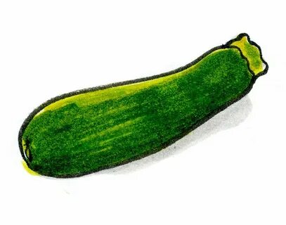 Кабачок рисунок