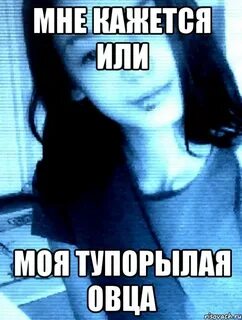 Вогина