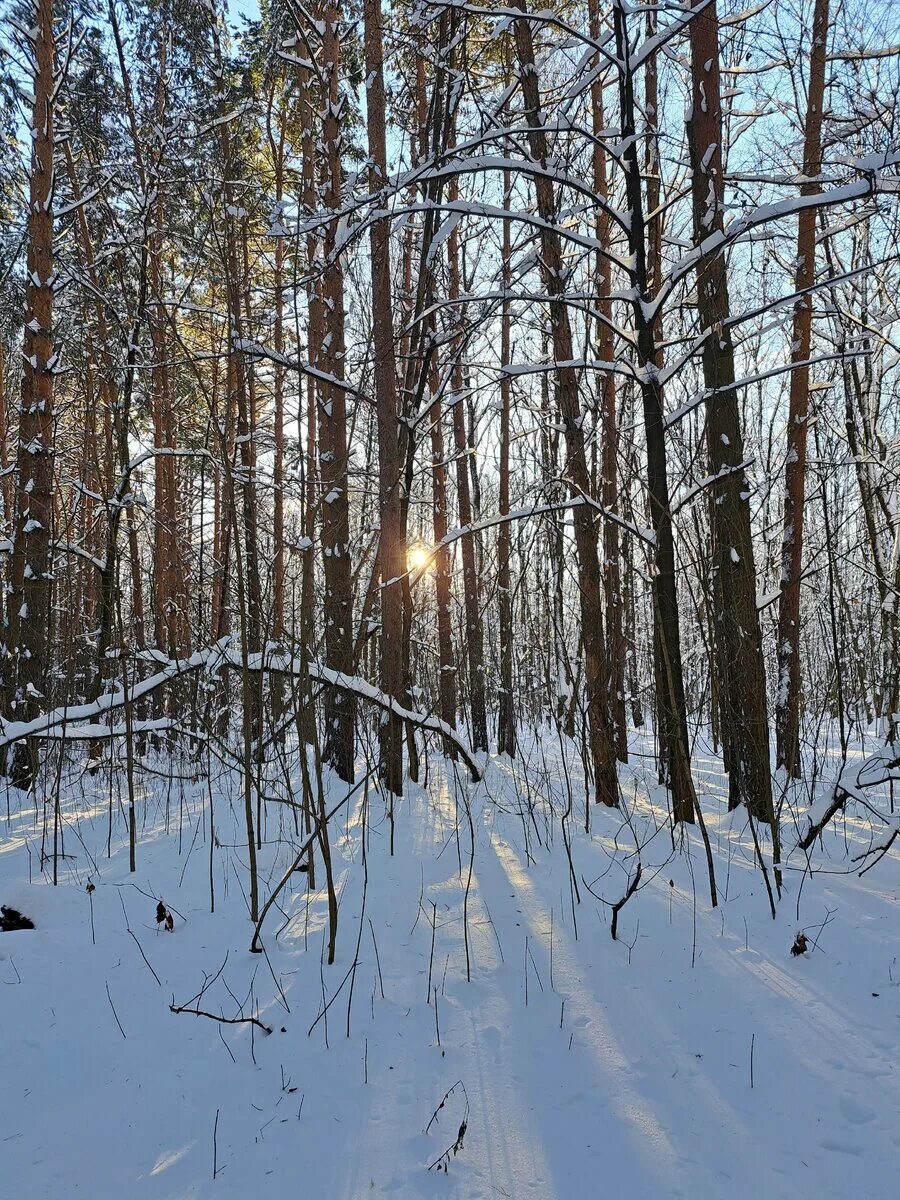 Якутск зимой. 22. Зимнее солнцестояние. Зимнее солнцестояние в 2024 году. Зима.