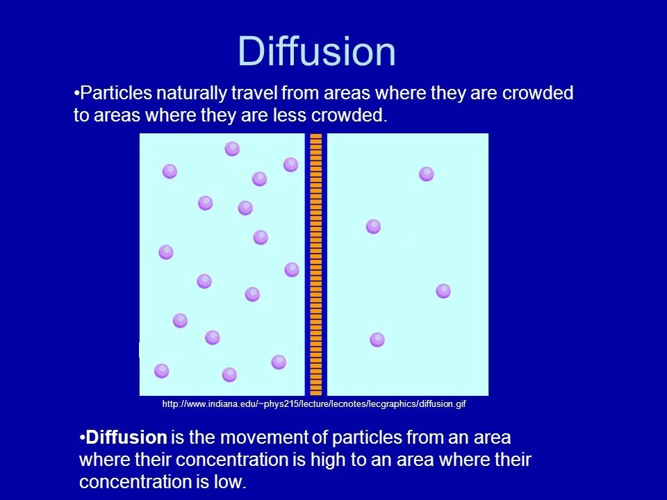 Диффузион. Diffusion бренд. Pressure diffusion. Стили stable diffusion. Stable diffusion control net