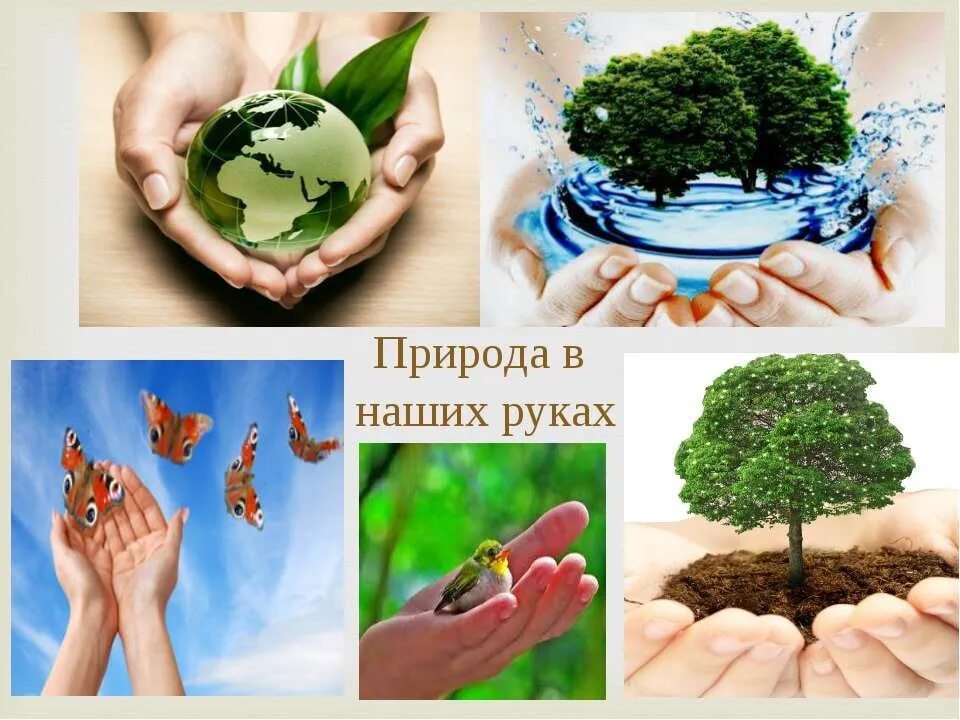 Тема человек и природа экология. Защита природы. Защита экологии и окружающей среды. Сохранение природы. Экология и охрана природы.