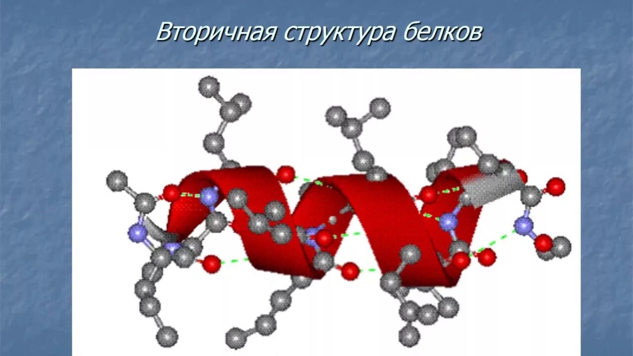 Белок из аминокислот. Белок пептиды аминокислоты. Молекула аминокислоты. Структура белка аминокислоты. Белки химия 10 класс.