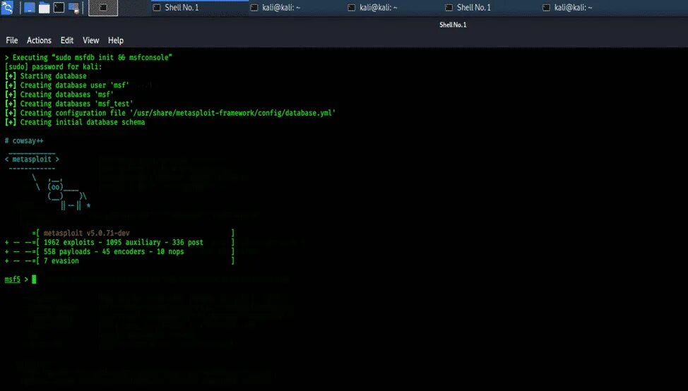 Metasploit kali. Kali linux консоль. kali linux metasploit. metasploit tools. metasploit framework.