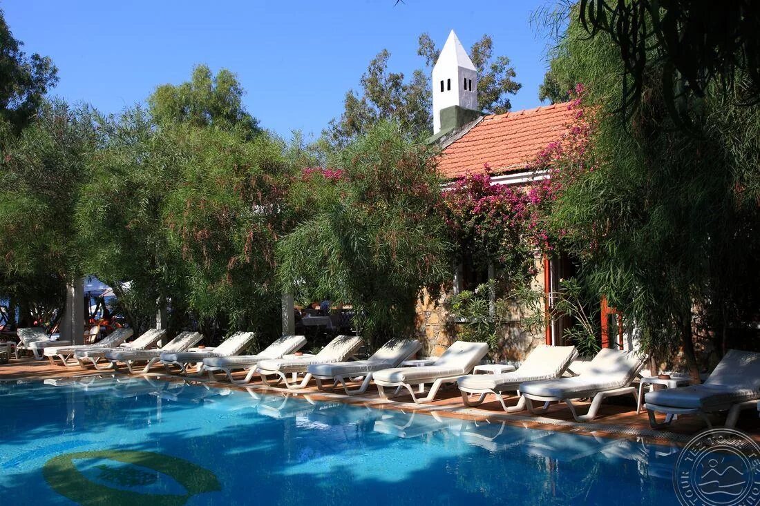 Okaliptus hotel 4 турция бодрум фото. Okaliptus hotel. Битез бодрум. Okaliptus hotel. Okaliptus hotel 4.