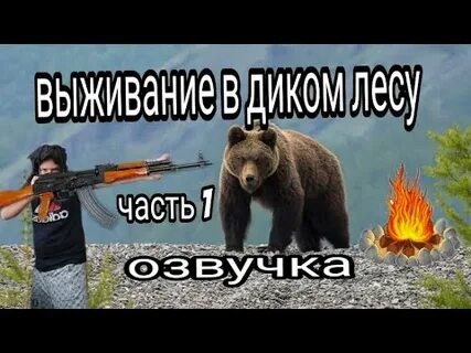 24 в диком лесу