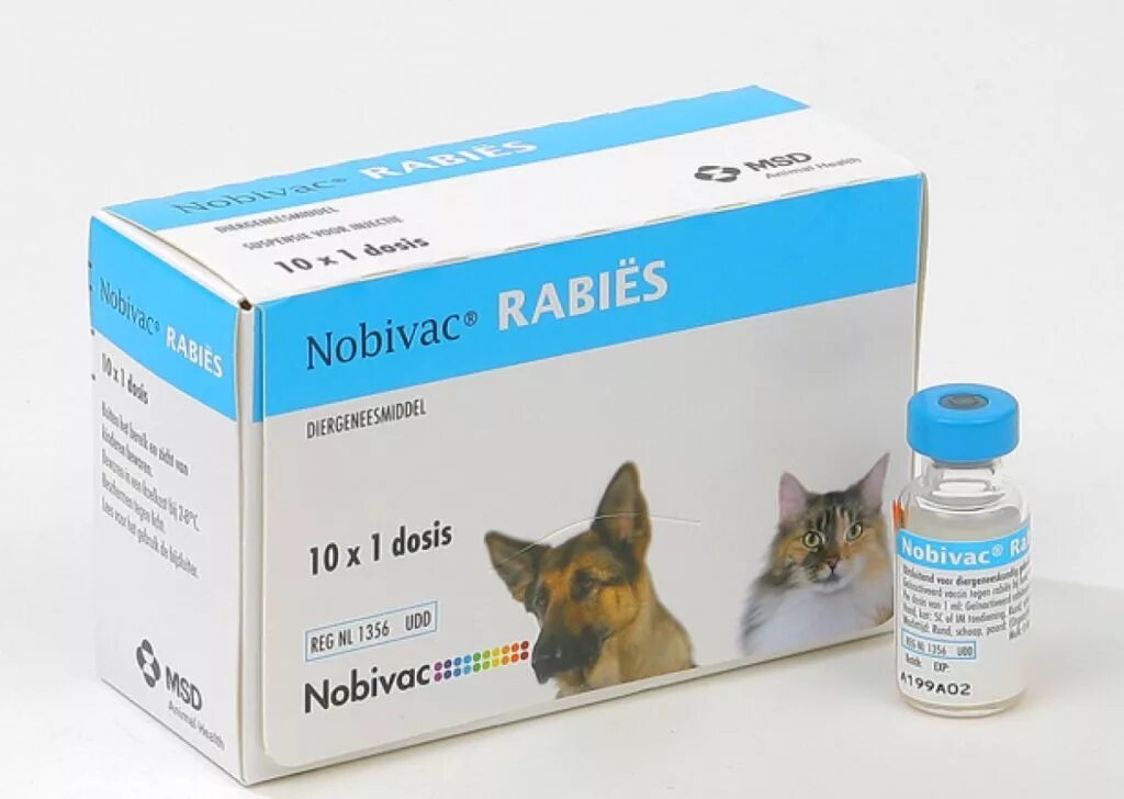 Нобивак Rabies для собак. Нобивак Rabies (10 доз/уп). Вакцина против бешенства для собак Нобивак. Нобивак 2022. Вакцины для собак 2024