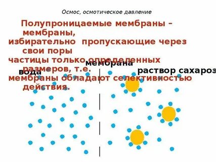 Осмотические растворы