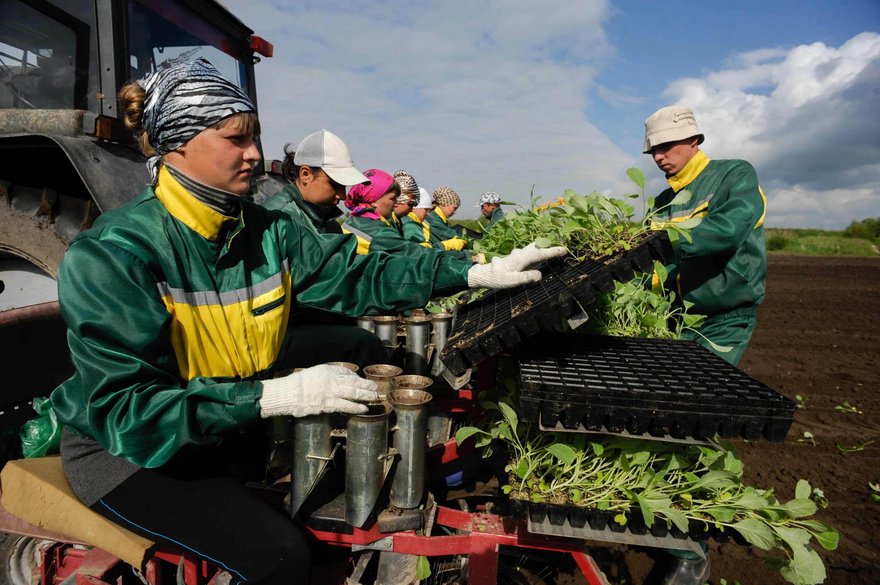 Производство сельскохозяйственной продукции в россии. Сельское хозяйство. Предприятия сельского хозяйства. Сельское хозяйство Башкирии. Работники сельского хозяйства.