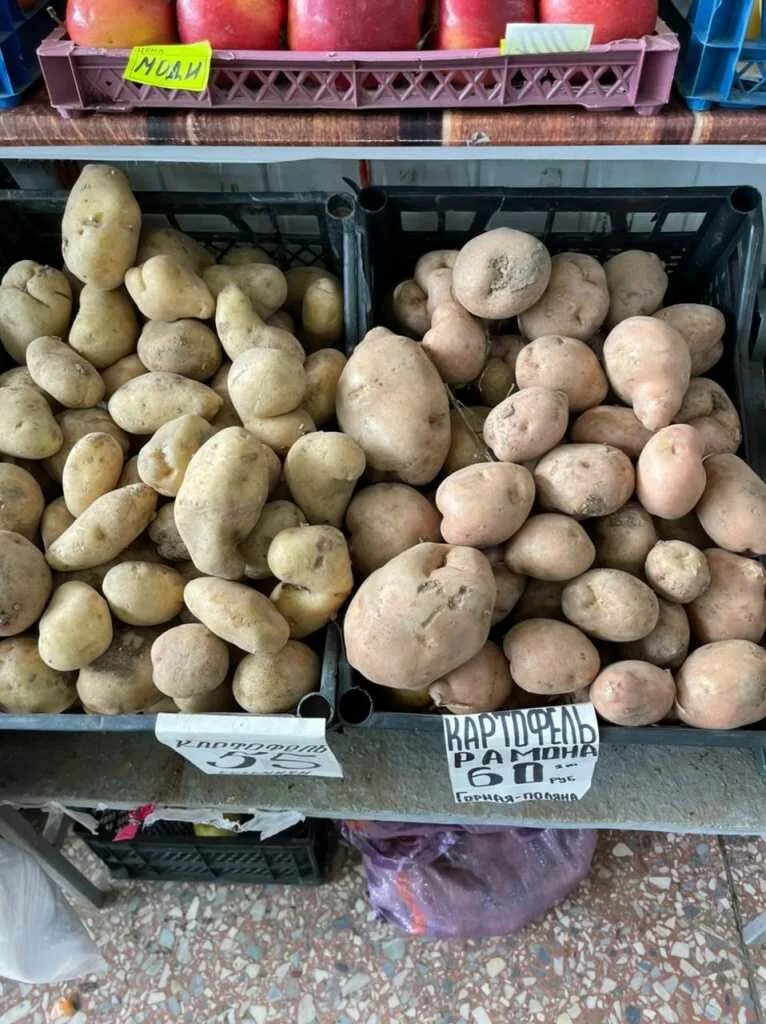 Сколько сейчас стоит картошка