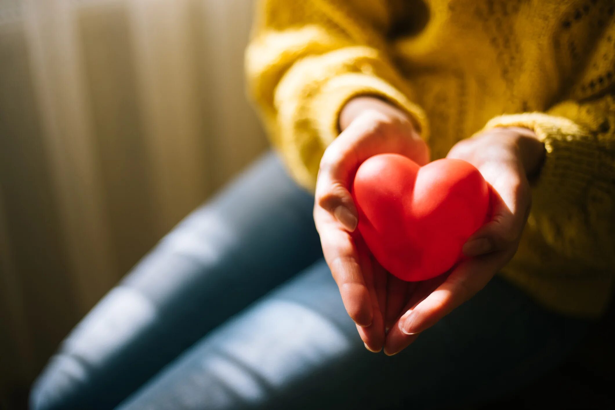 To understand a heart
