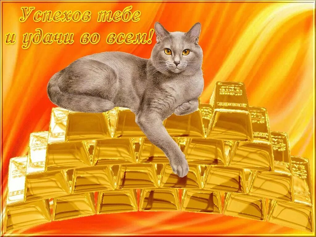 Желаю вам успехов в работе. В работе огромных успехов. Рисунок желаю успехов. В работе огромных успехов. Открытка желаю успехов.