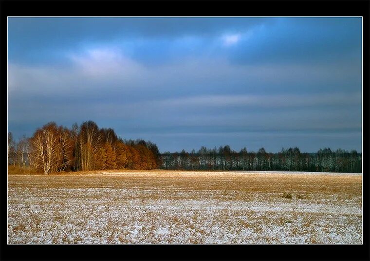 Идешь зимой по полю тишина. Ноябрь поле. Поздняя осень в поле. Первый снег в поле. Заснеженная осень поле.