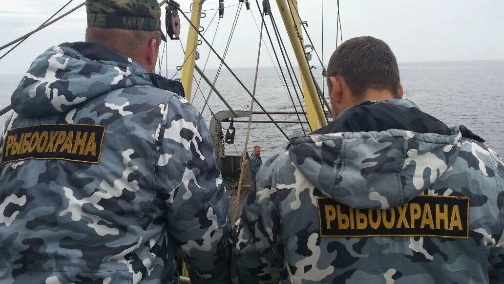 Государственный инспектор рыбоохраны. Охрана рыболовства. Добыча биологических ресурсов. Охраны рыбных запасов. Общество защиты рыб.