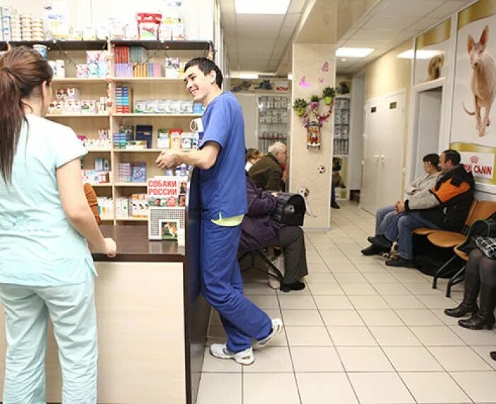 Belanta vet. Belanta vet. Беланта ветклиника. Беланта на пражской ветклиника. Belanta vet.