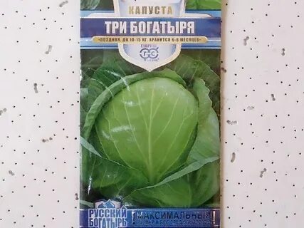 Сорт капусты три богатыря