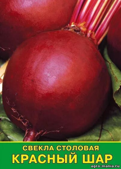 Сорт свеклы красный шар. Сорт свеклы красный шар. Свекла "красный шар". Сорт свеклы красный шар. Свекла червона кула (красный шар) 2г.