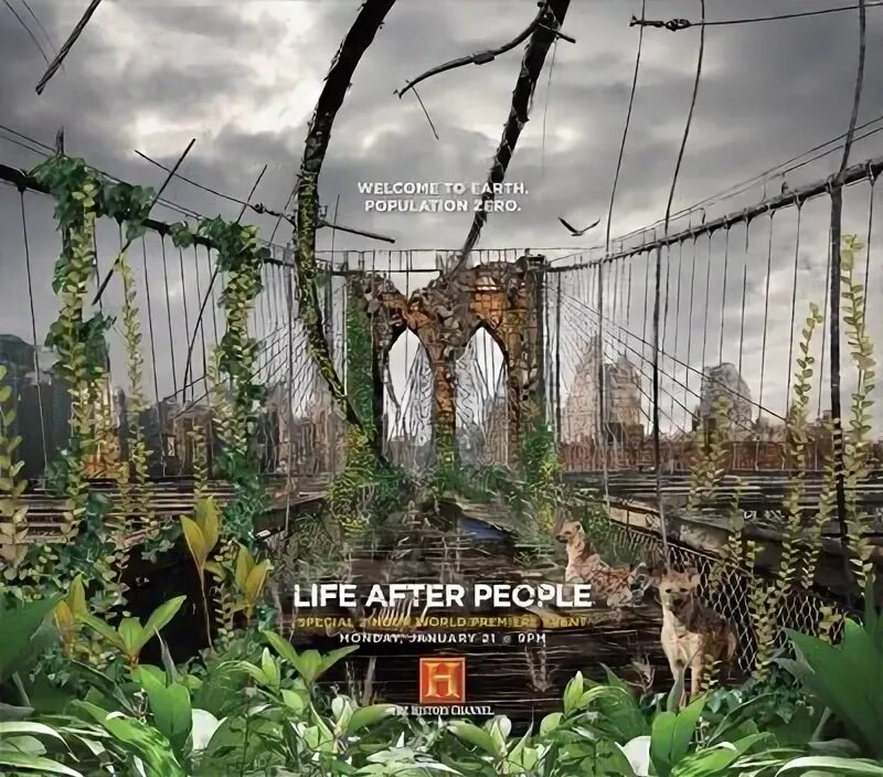 Жизнь после людей Life after people. Земля жизнь без людей.