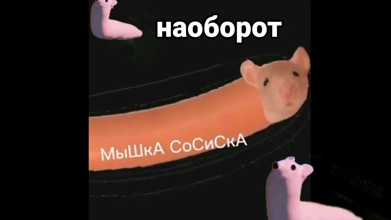 Мышка сосиска крыска ириска кот. Мышка сосиска. мышка сосиска на оборот. мемы из мышки сосиски. мышка сосиска ехе.