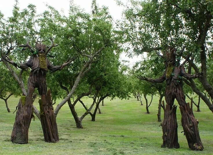 Walking tree