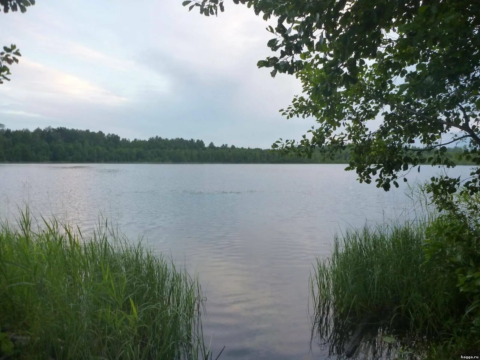 Катамаран святое озеро. Святое рогачев. Святое рогачев. Нармушадь рязанская область озеро святое. Святое рогачев.