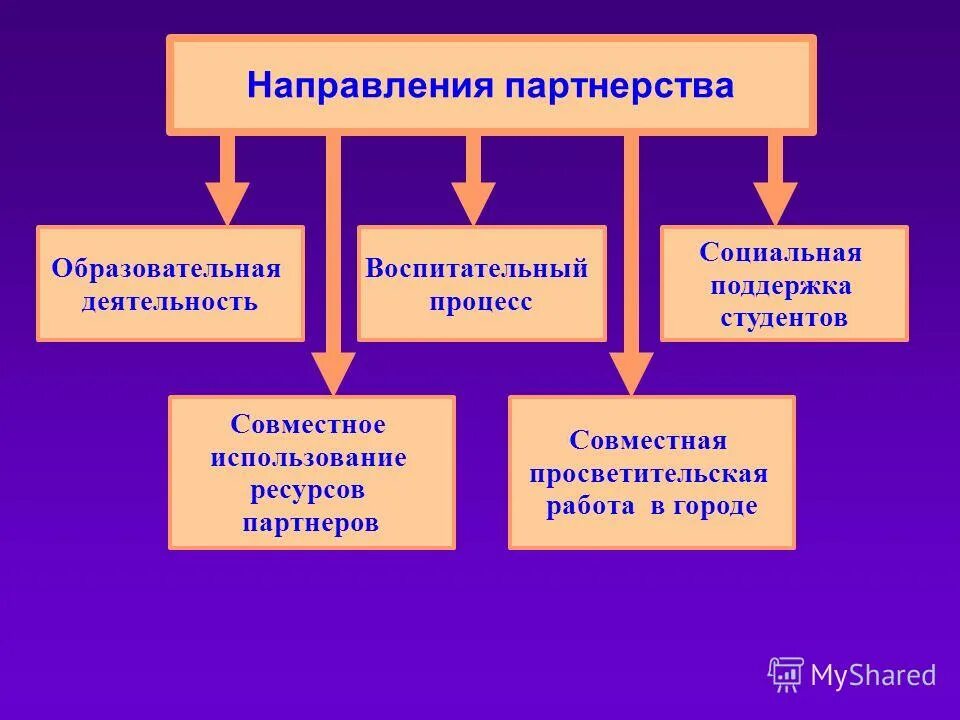 элементы социальной поддержки. компоненты социальной поддержки. компоненты социальной поддержки. социальные аспекты защиты пожилых. компоненты социальной поддержки.