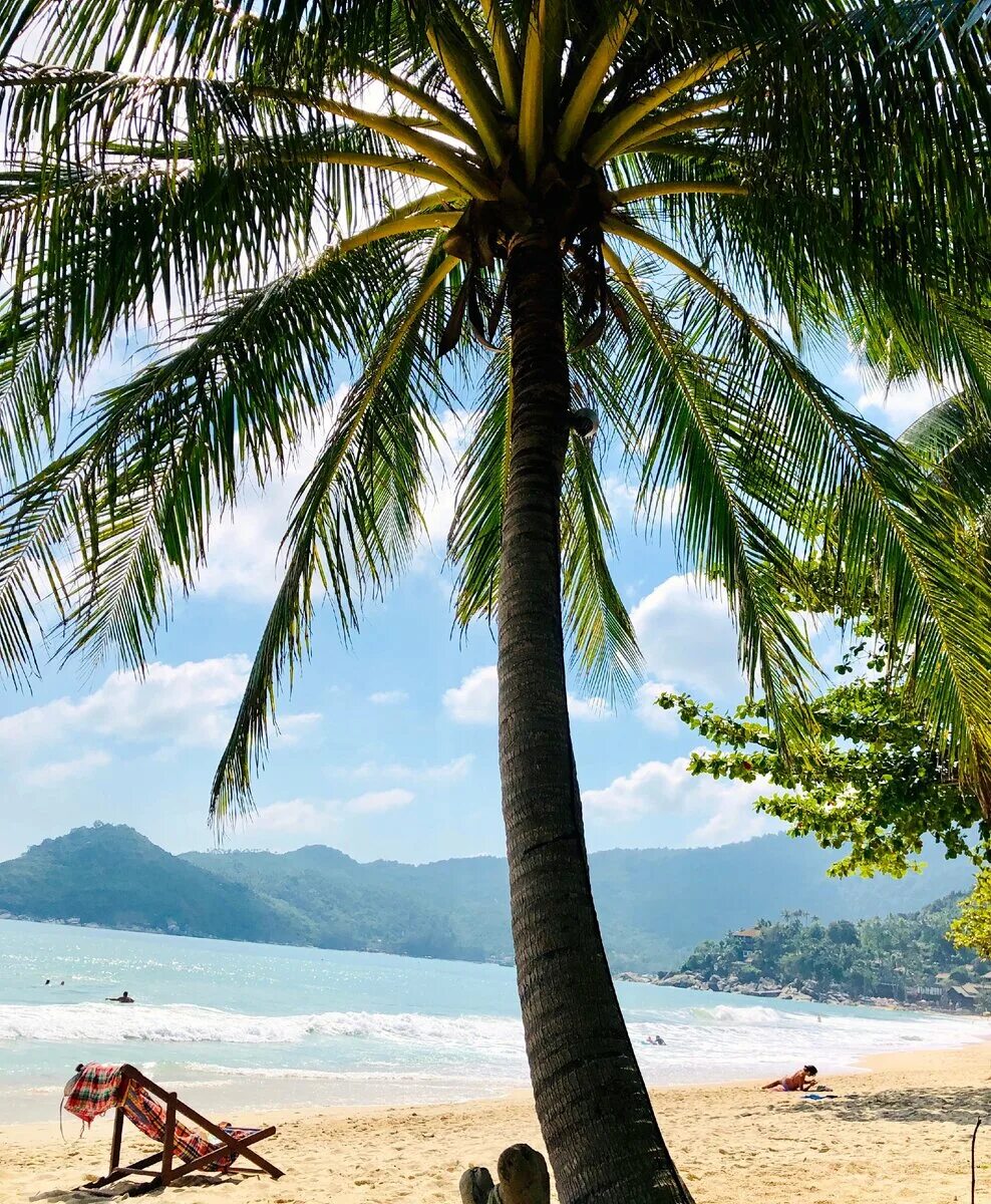 Luxury Phi Phi Island Maya Bamboo Island Tour by Speedboat Phuket