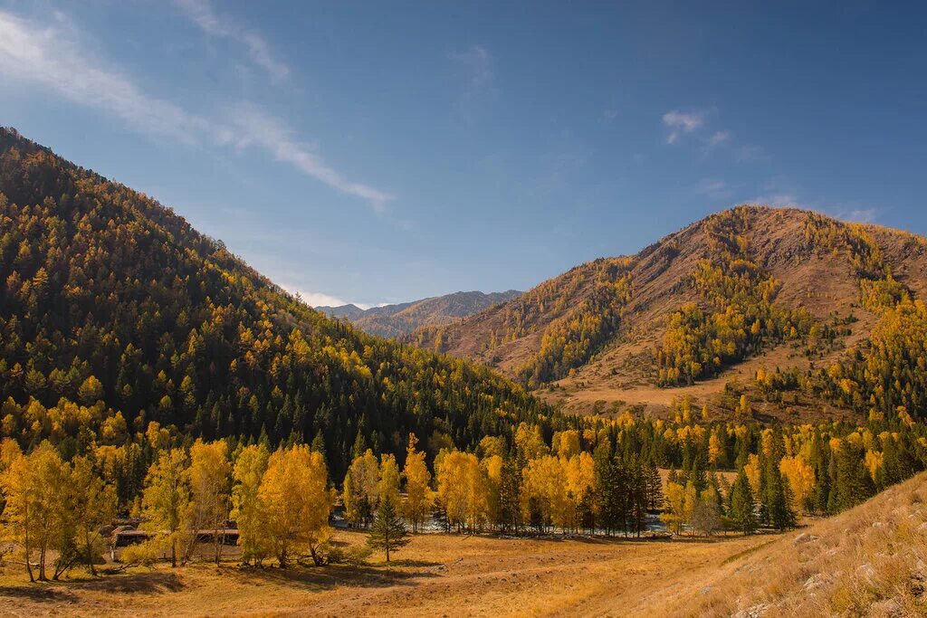 Алтай золотой край. Золотые горы Алтая Республика Алтай. Золотые горы Алтая Восточная Сибирь. Природное наследие золотые горы Алтая.