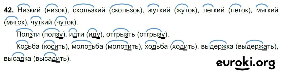 ладыженская контрольные 5. умк ладыженская. книжка диктанты 5 класс. проверочные работы по русскому языку 8 класс егорова. егорова проверочные работы.