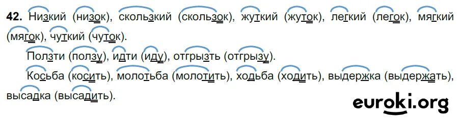 Русский язык 5 класс 2023 часть. Русский язык 5 класс упражнение 41. Русский язык 5 класс 1 часть упражнение 348. Русский язык 5 класс ладыженская 41 упражнение. Русский язык 5 класс учебник 1 часть упражнение 41.