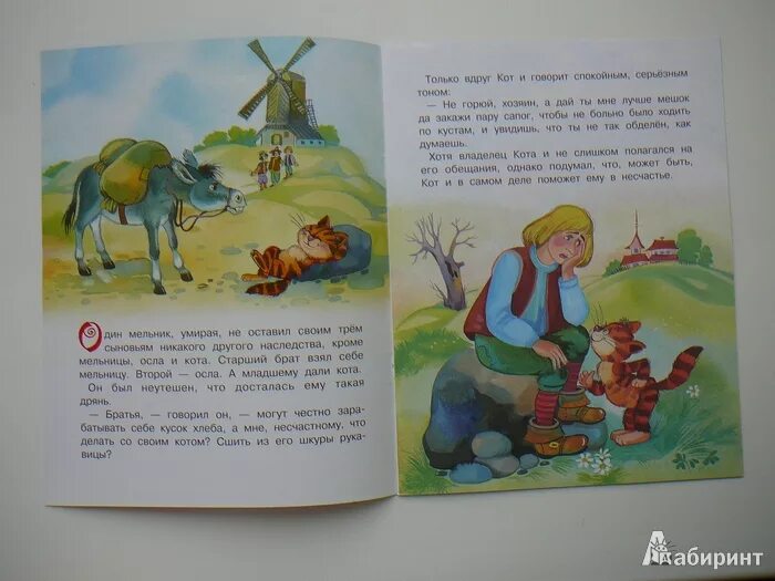 Кот в сапогах книга иллюстрации. Кот в сапогах сказка кратко. Сказки. Кот в сапогах. Сказки.