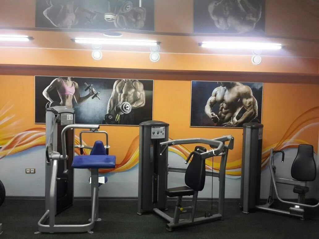 Камчатский фитнес клуб. Камчатский фитнес клуб. Victoria gym, самара. Протеин петропавловск-камчатский. Фитнес клуб рядом.