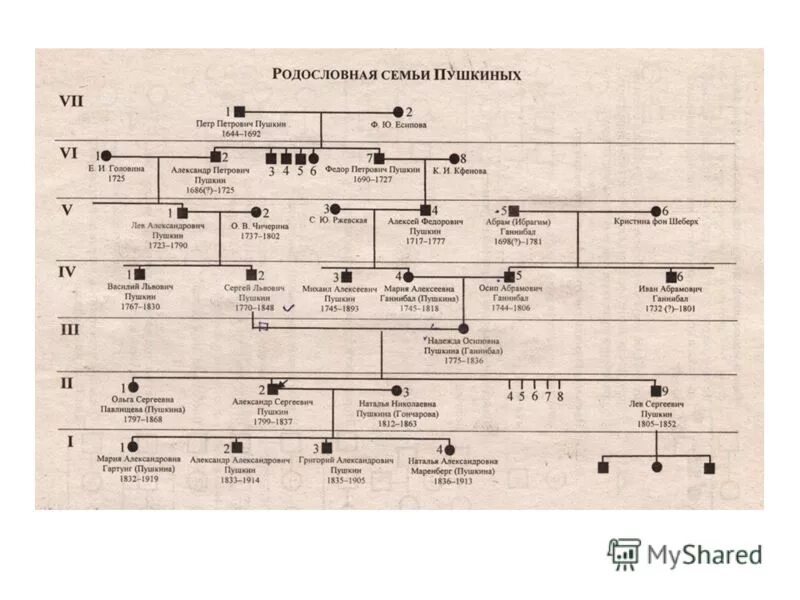 Родословная по фамилии. Генеалогическое Древо Натальи Гончаровой. Николай Демидов генеалогическое Древо. Родословная ветка Пушкина. Генеалогическое Древо Иван Лажечников.