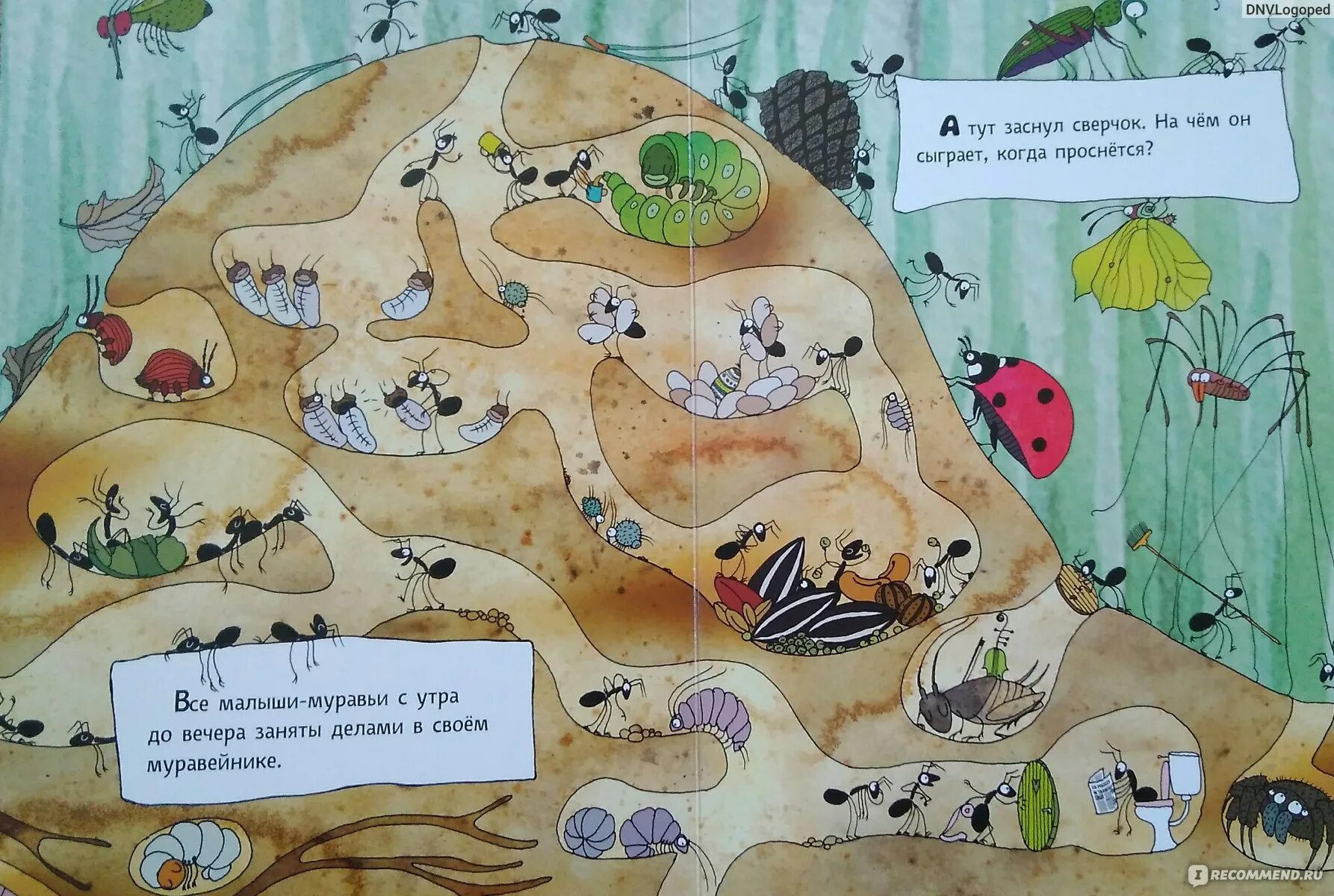 Муравьев утро