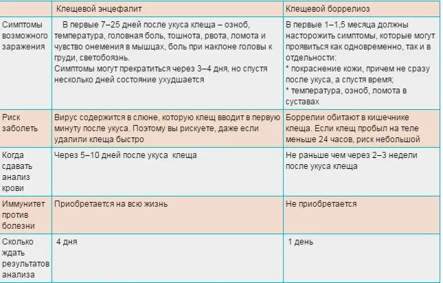 Укус клеща сдать анализы. Исследования крови после укуса клеща. Когда сдавать кровь на боррелиоз после укуса. Анализ крови после укуса клеща когда сдавать. После укуса клеща какие анализы нужно сдать.