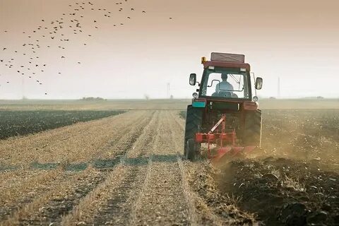 Сельские земельные сервитуты