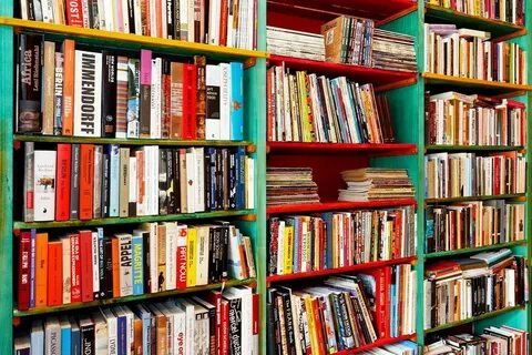 На полке в библиотеке стояли книги
