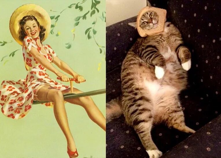 Ап ап мяу
