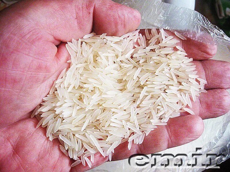 Рис лазер ташкентский. Рис лазер аланга. Рис белый девзира. Рис сорта «лазарь». Рис «националь» лазер, 800 г.