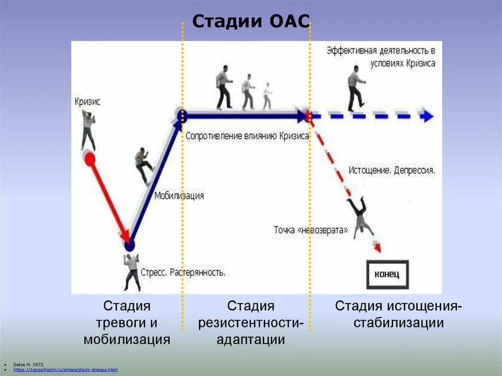 Через 1 стадии. Стадии ОАС. Фазы общего адаптационного синдрома. Стадии развития стресса. Фазы развития общего адаптационного синдрома.