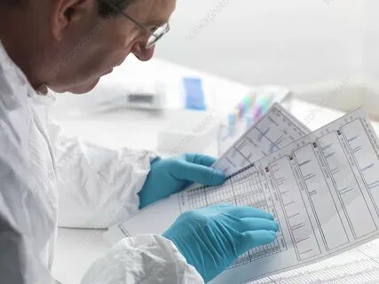 Судебно генетическая