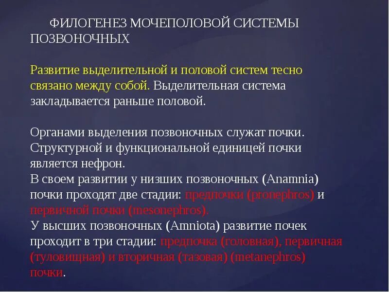 Филогенез органов